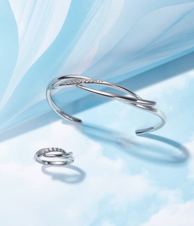 モデルが着用しているジュエリー